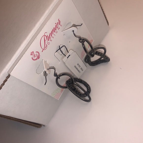 Premier Designs, chrome, Oval, Dangle Earrings. - Picture 6 of 6